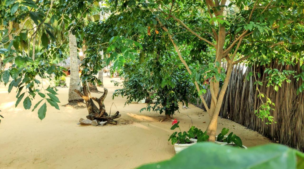 Roshanne Beach Resort Kalpitiya Dış mekan fotoğraf