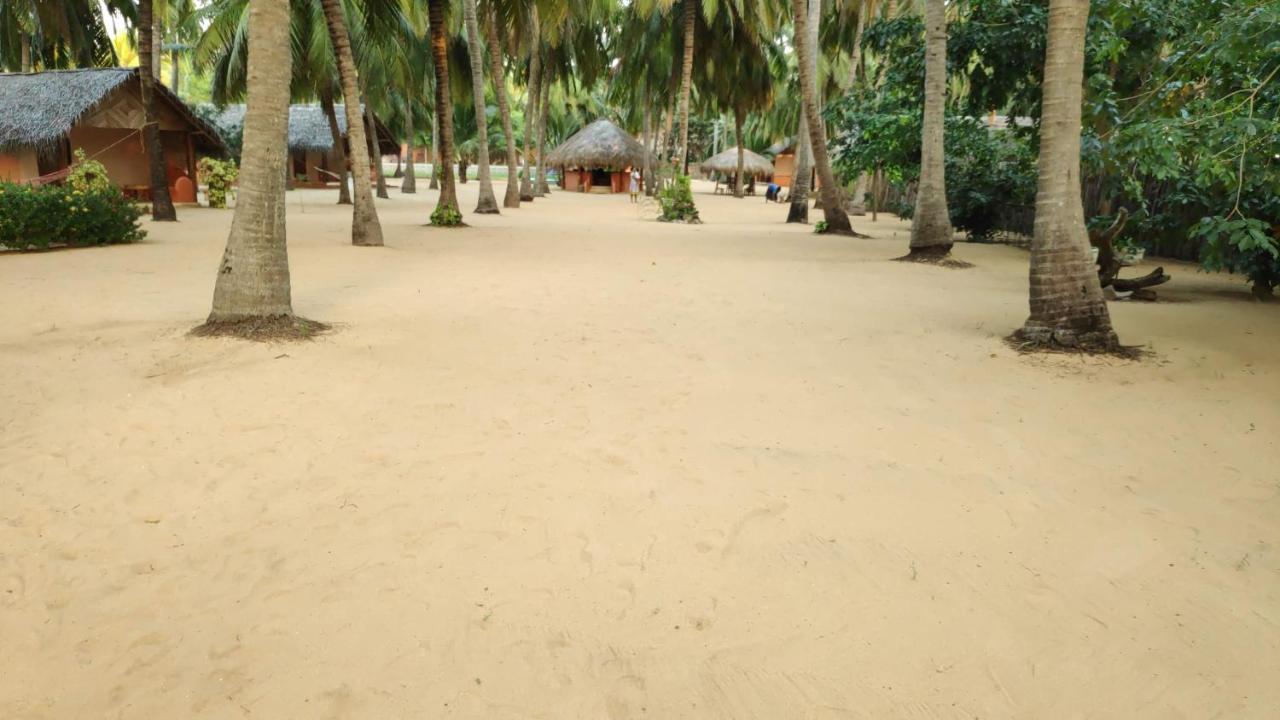 Roshanne Beach Resort Kalpitiya Dış mekan fotoğraf