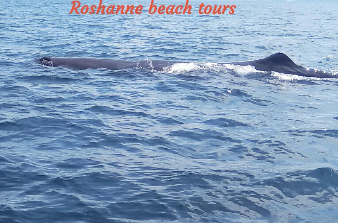 Roshanne Beach Resort Kalpitiya Dış mekan fotoğraf