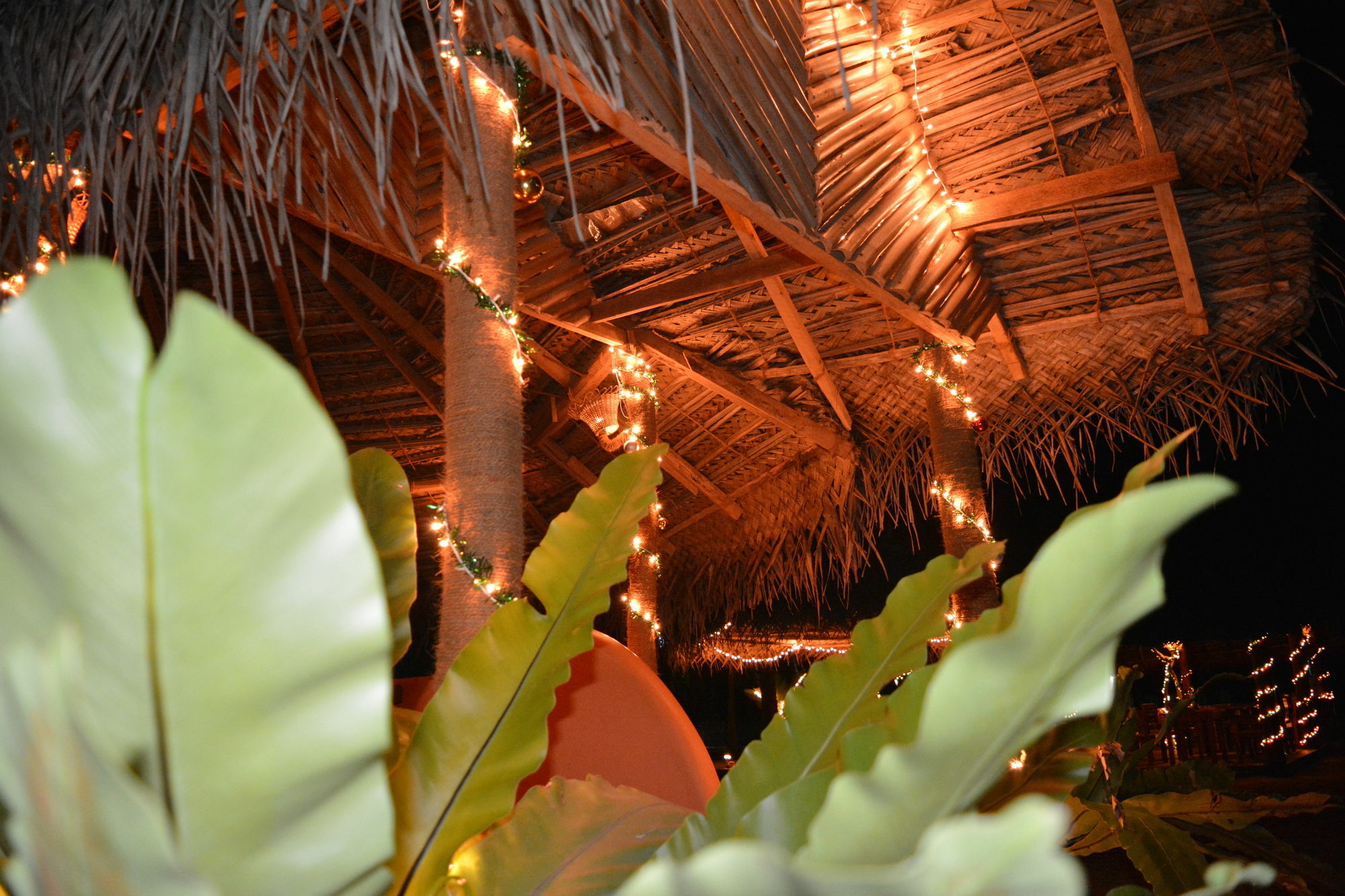 Roshanne Beach Resort Kalpitiya Dış mekan fotoğraf